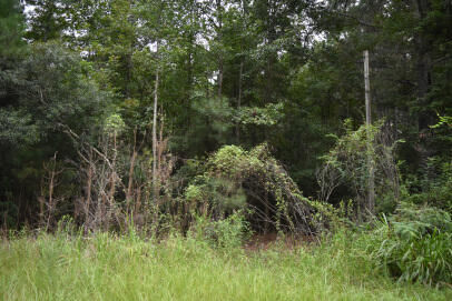 Property Photo:  0 Daffodil Lane  SC 29554 