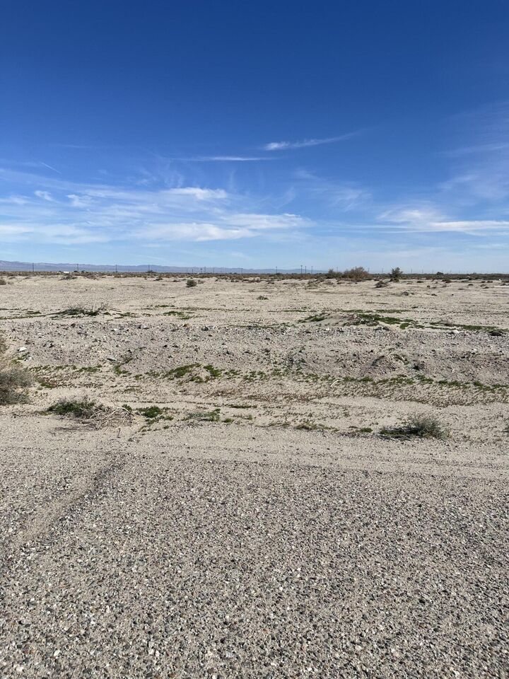 Property Photo:  2196 Palm Way  CA 92274 