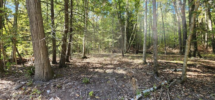 645 Evergreen Drive  Falls PA 18615 photo