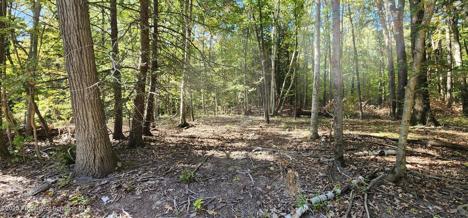 Property Photo: 645 Evergreen Drive PA 18615