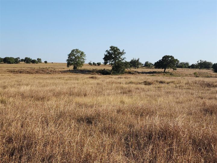Property Photo: Tbd Tbd Fm 318 TX 77964
