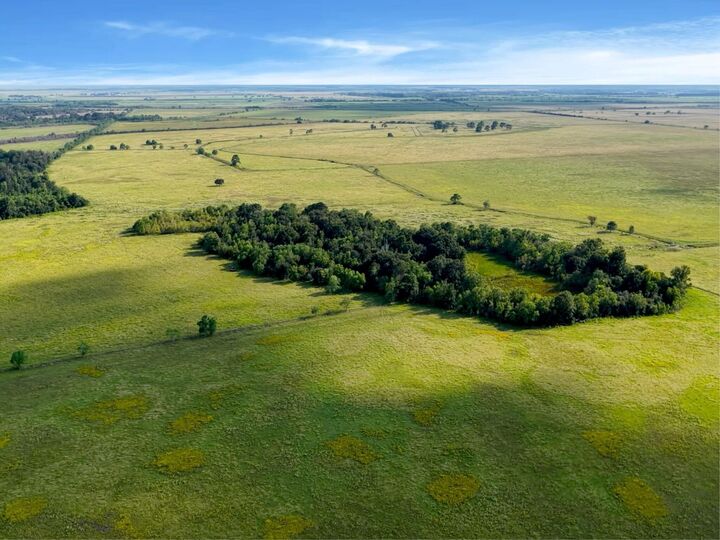 Property Photo: 000 Hwy 65 TX 77514