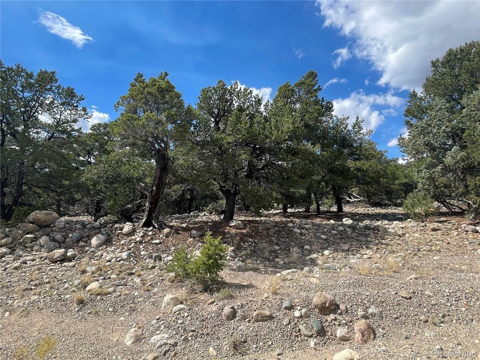 Property Photo:  2723 Happy Hollow Way  CO 81131 