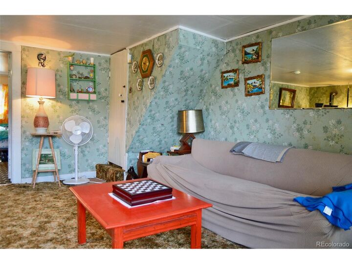 Property Photo:  137 N Pine St  CO 80420 