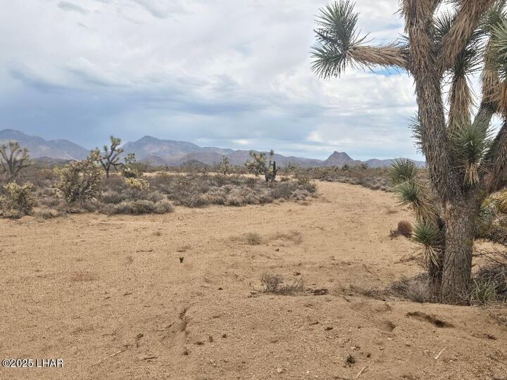 Property Photo: Parcel 450 Kit Carson Rd AZ 86438
