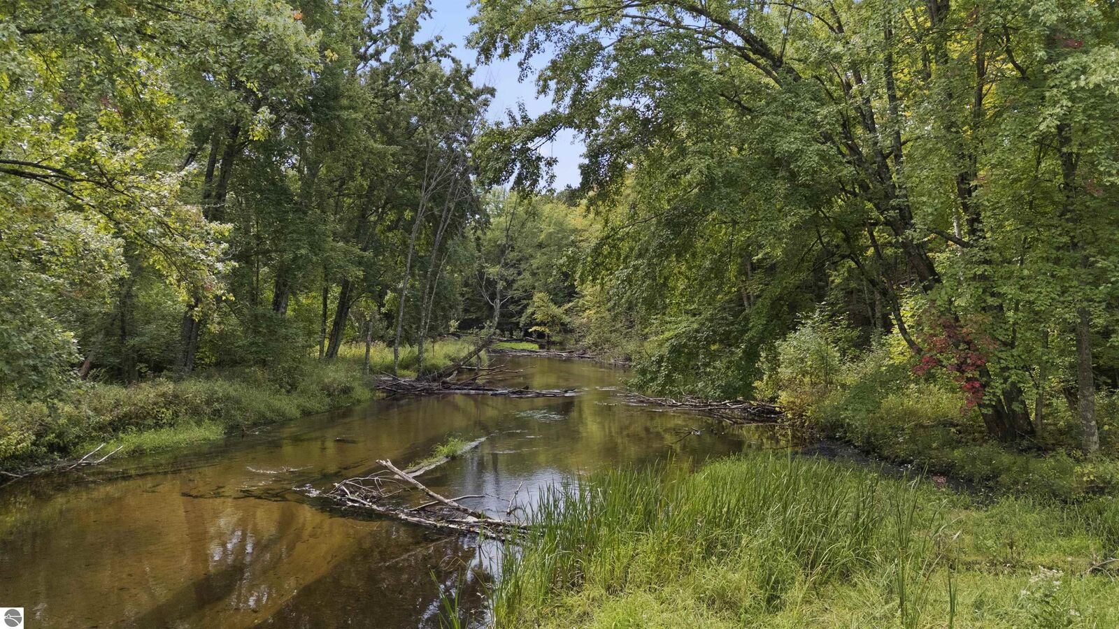 Property Photo:  20 Ac Big Four Road  MI 49614 