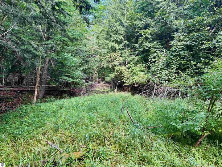 Property Photo:  161 W Nachazel Road  MI 49664 