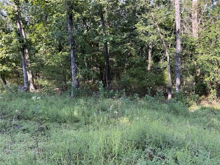 Property Photo: 36 Venus Avenue AR 72631