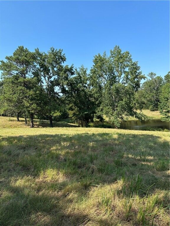 Property Photo:  Pine Street  AR 72843 