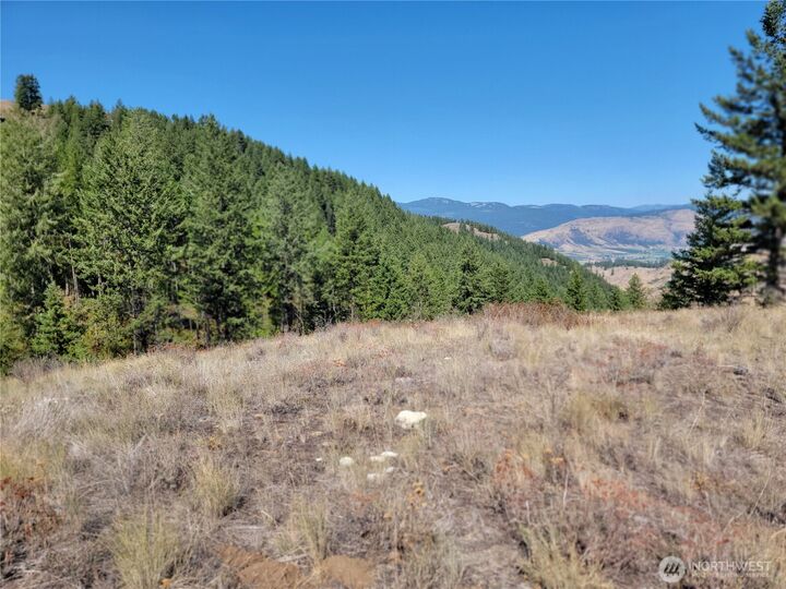 Property Photo:  9999  Lone Ranch Rd  WA 99121 