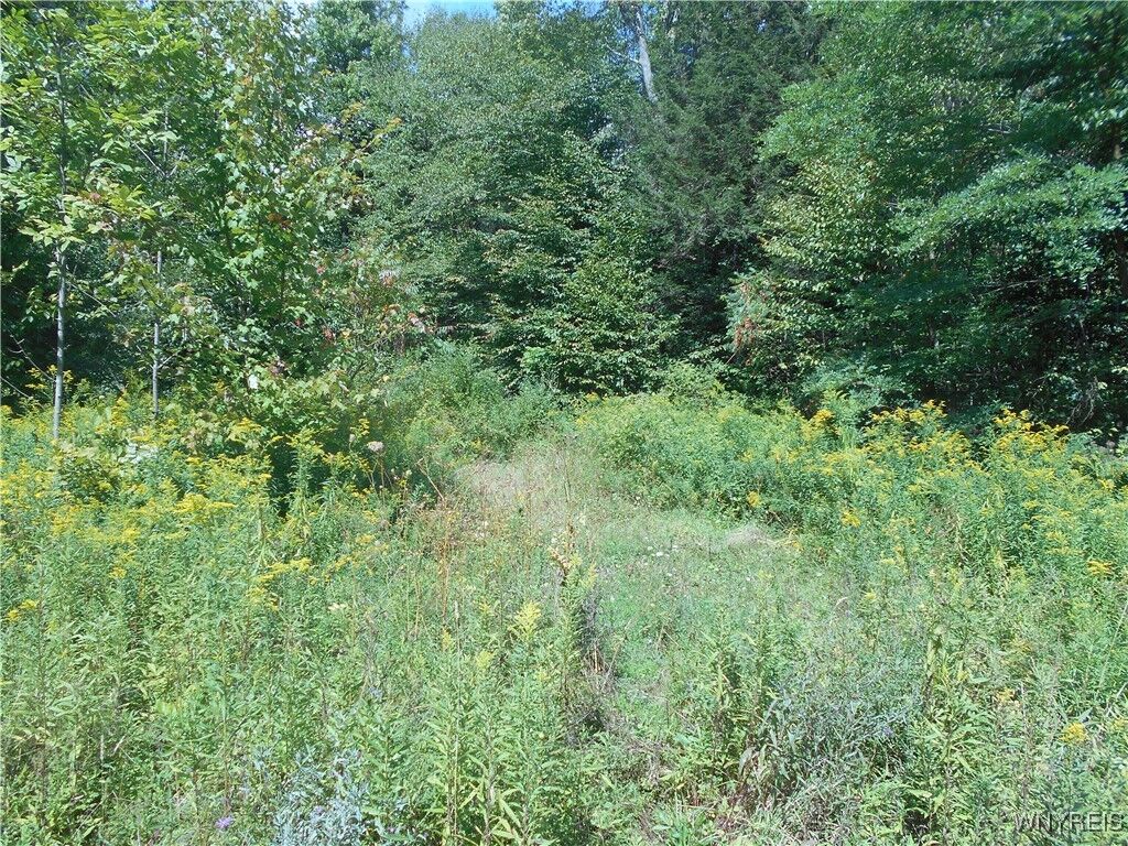 Property Photo:  0 Cheeseman Hill Road  NY 14065 