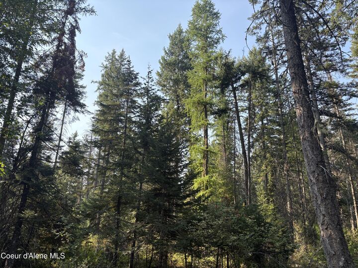 Property Photo:  Nna E Lewellen Creek ( North 10 ) Road  ID 83801 
