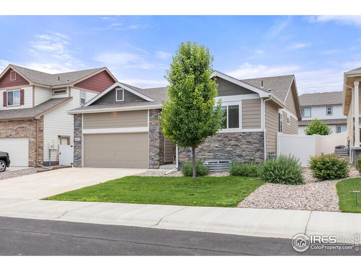 Property Photo:  619 Rosedale St  CO 80550 