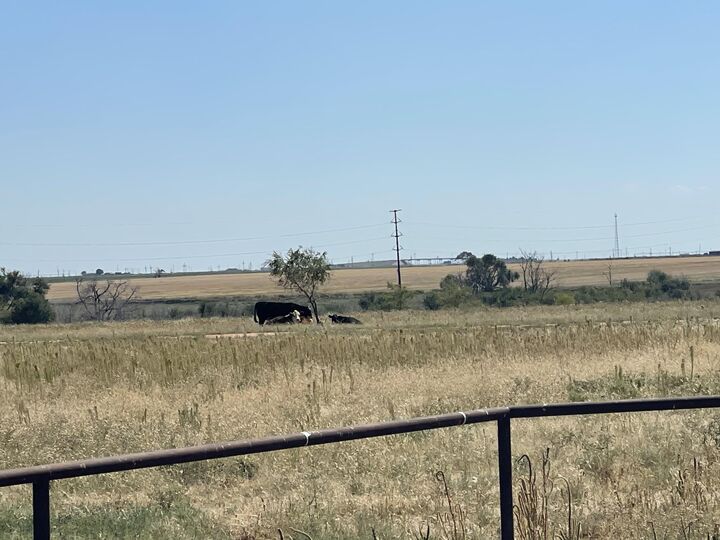 17616 N Private Road 2220  Abernathy TX 79311 photo