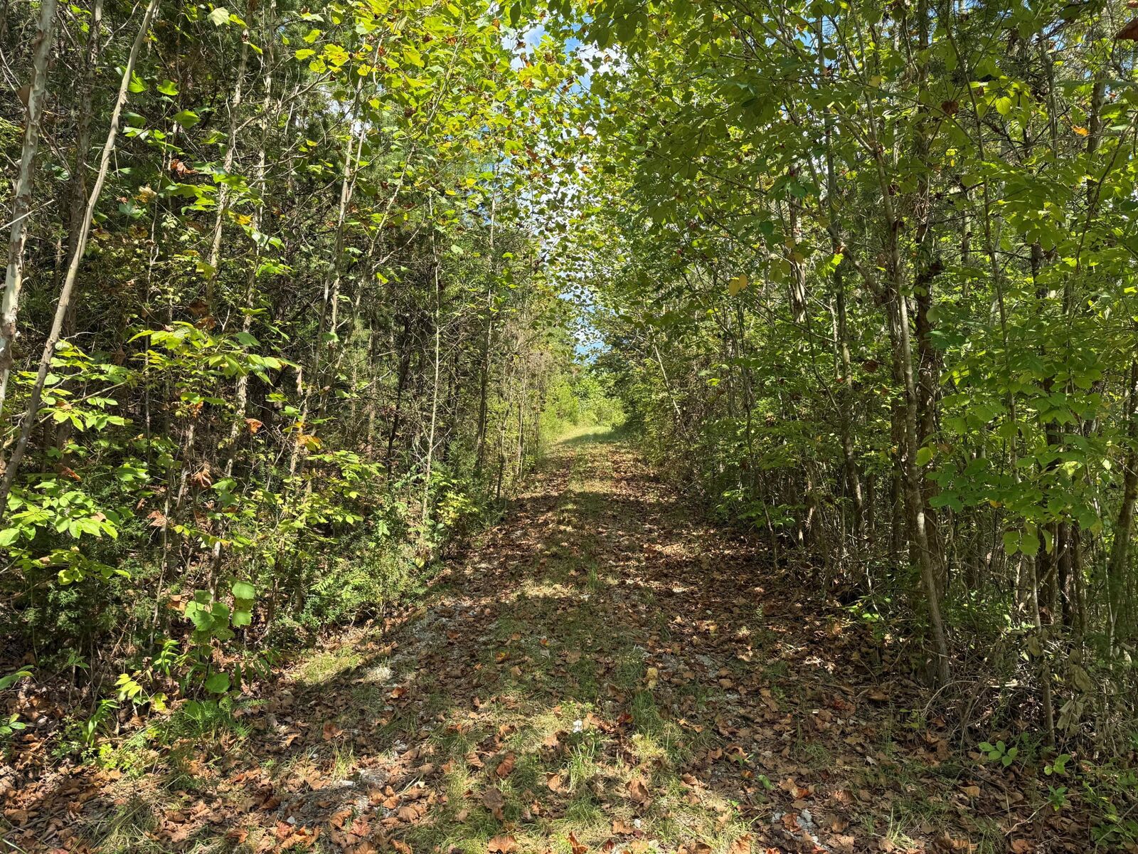 Property Photo:  9999 Rose Hill Road  KY 40456