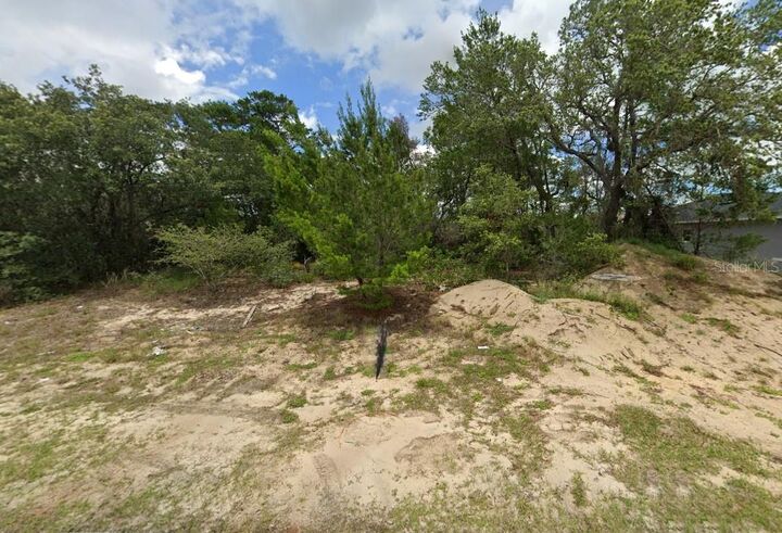 Property Photo:  2017 Maple Lane  FL 34759 