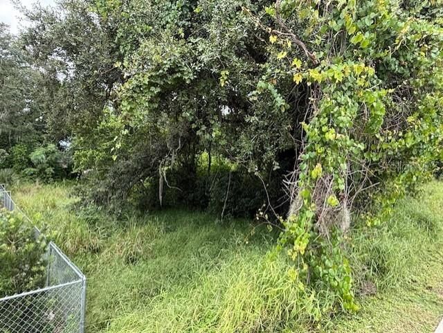 Property Photo:  10th Street S  FL 33844 