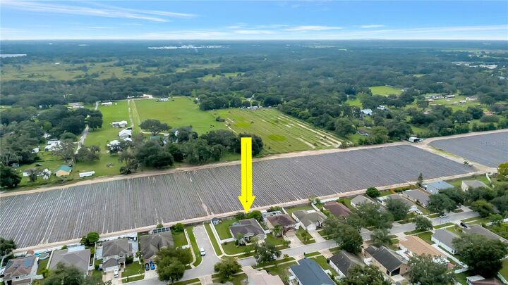 Property Photo: 3341 Pine Top Drive FL 33594
