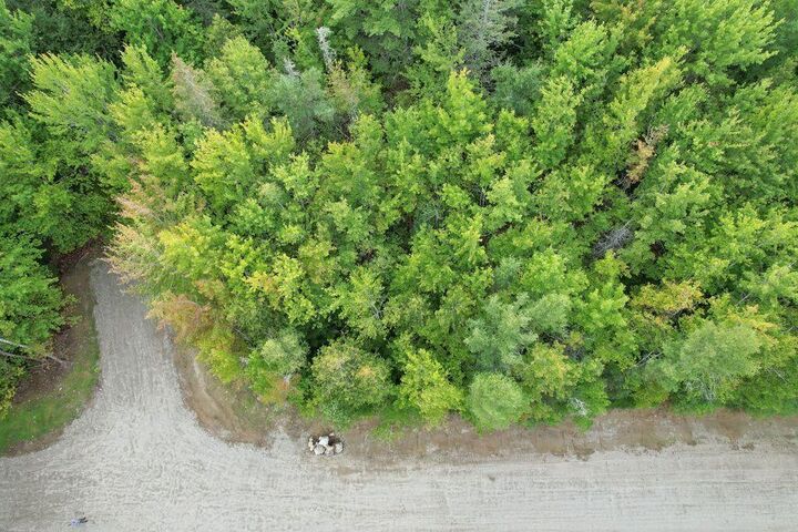 Property Photo:  Lot001-006 Foggy Ridge Way  ME 04605 