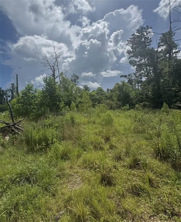 Property Photo: 3740 & 3822 Dunn Ferry Road LA 70611