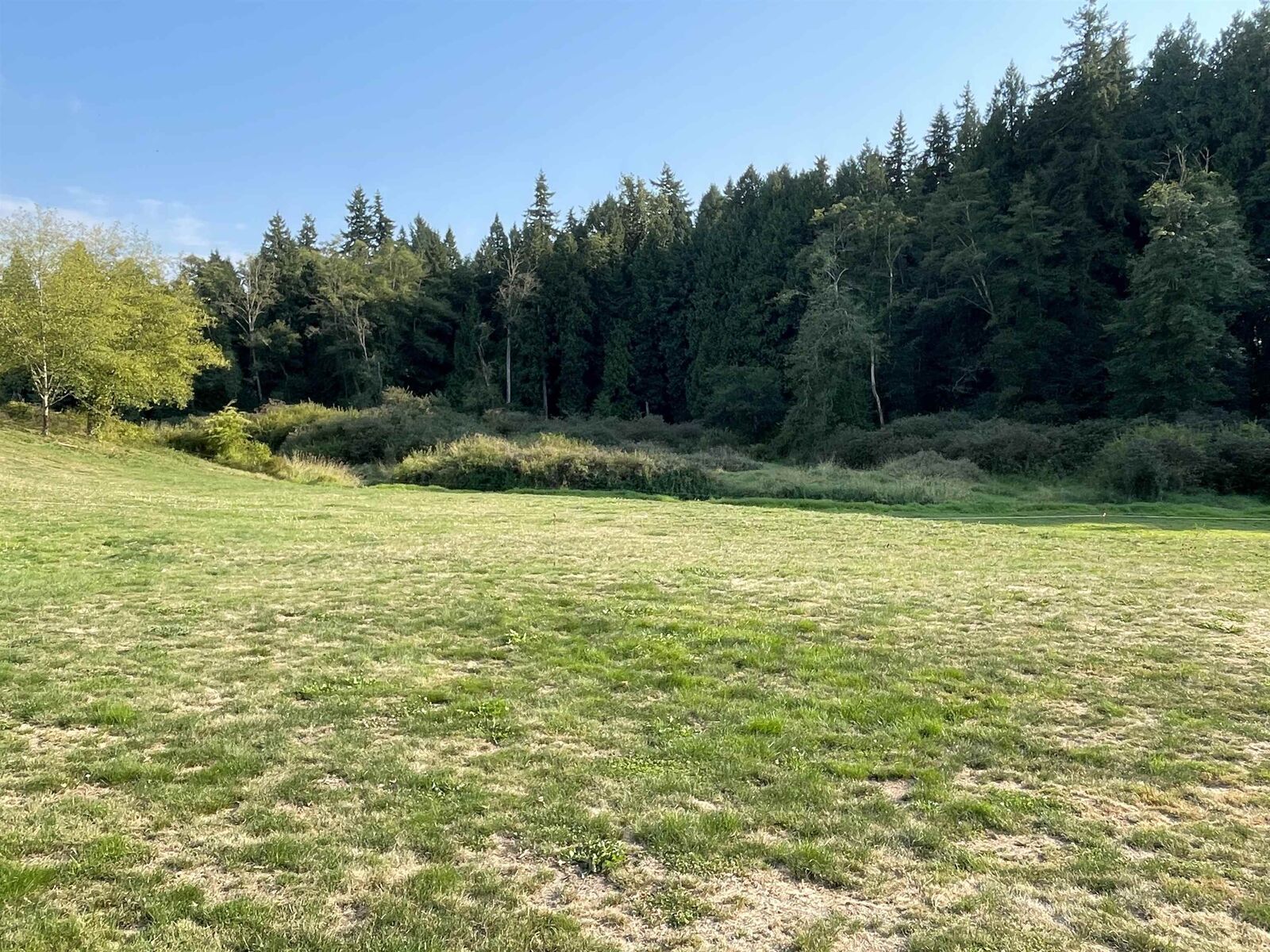Property Photo:  17384 8 Avenue  BC V3S 9R5 