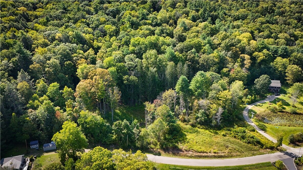 Property Photo:  0 Worden Road  NY 14892 