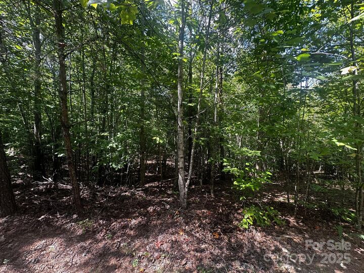 Property Photo:  0000 Lake Haven Drive  NC 28746 