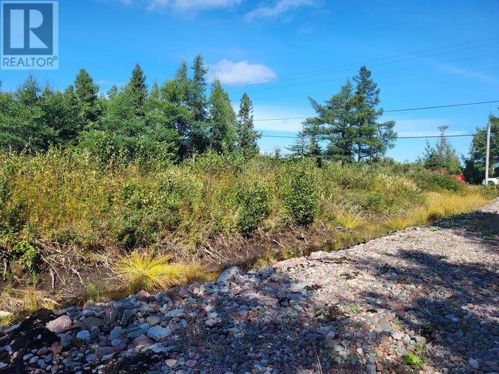 Property Photo:  45 Main Street  NL A0H 1E0 