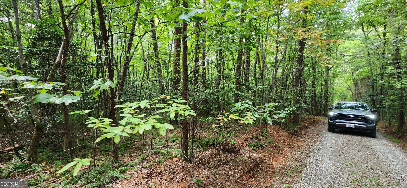 Property Photo:  36A Old Mill Pond Road  GA 30559 