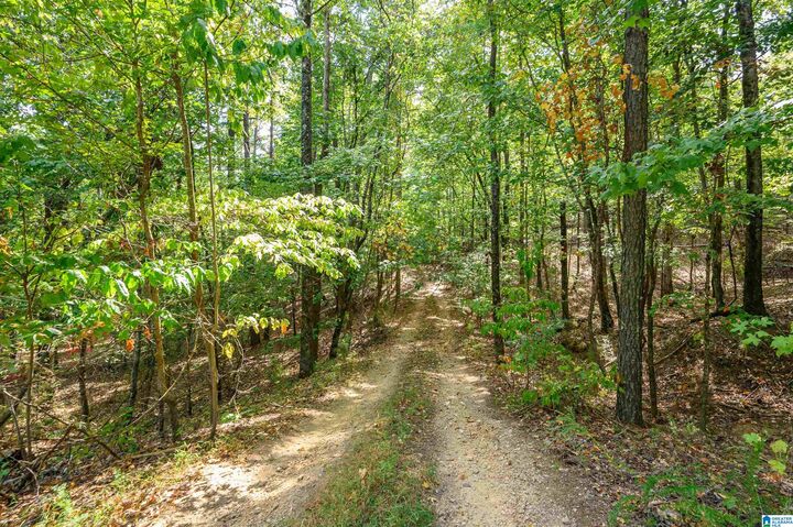 Property Photo: 00 Deer Run Road 00 AL 35007
