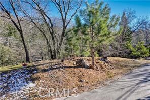Property Photo: 0 Deer CA 92352