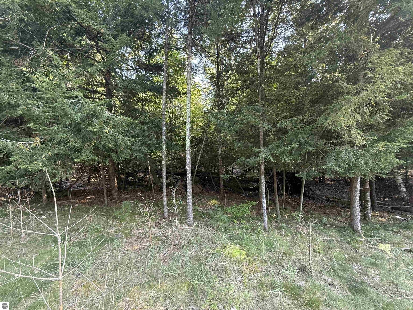 Property Photo:  Lot 57 W Harbor Highway  MI 49636 