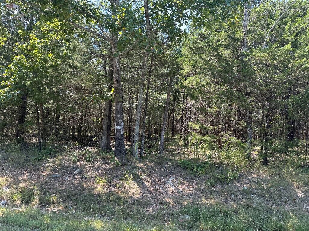 Property Photo:  11360 Hwy 125  AR 72668 
