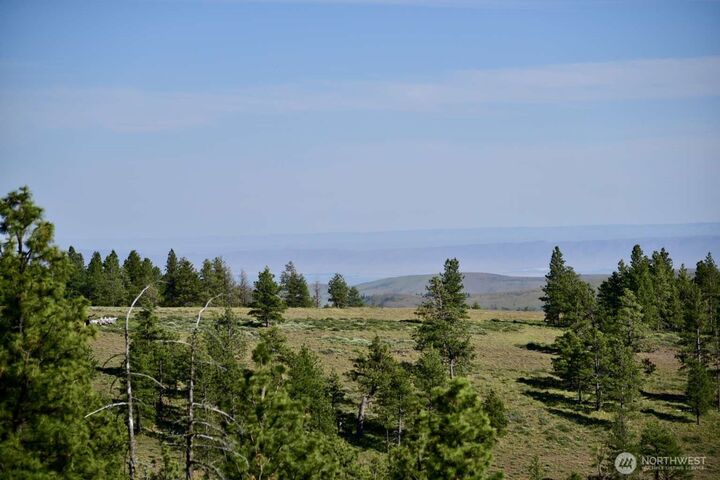 Property Photo:  29  Nasty Creek Road  WA 98903 