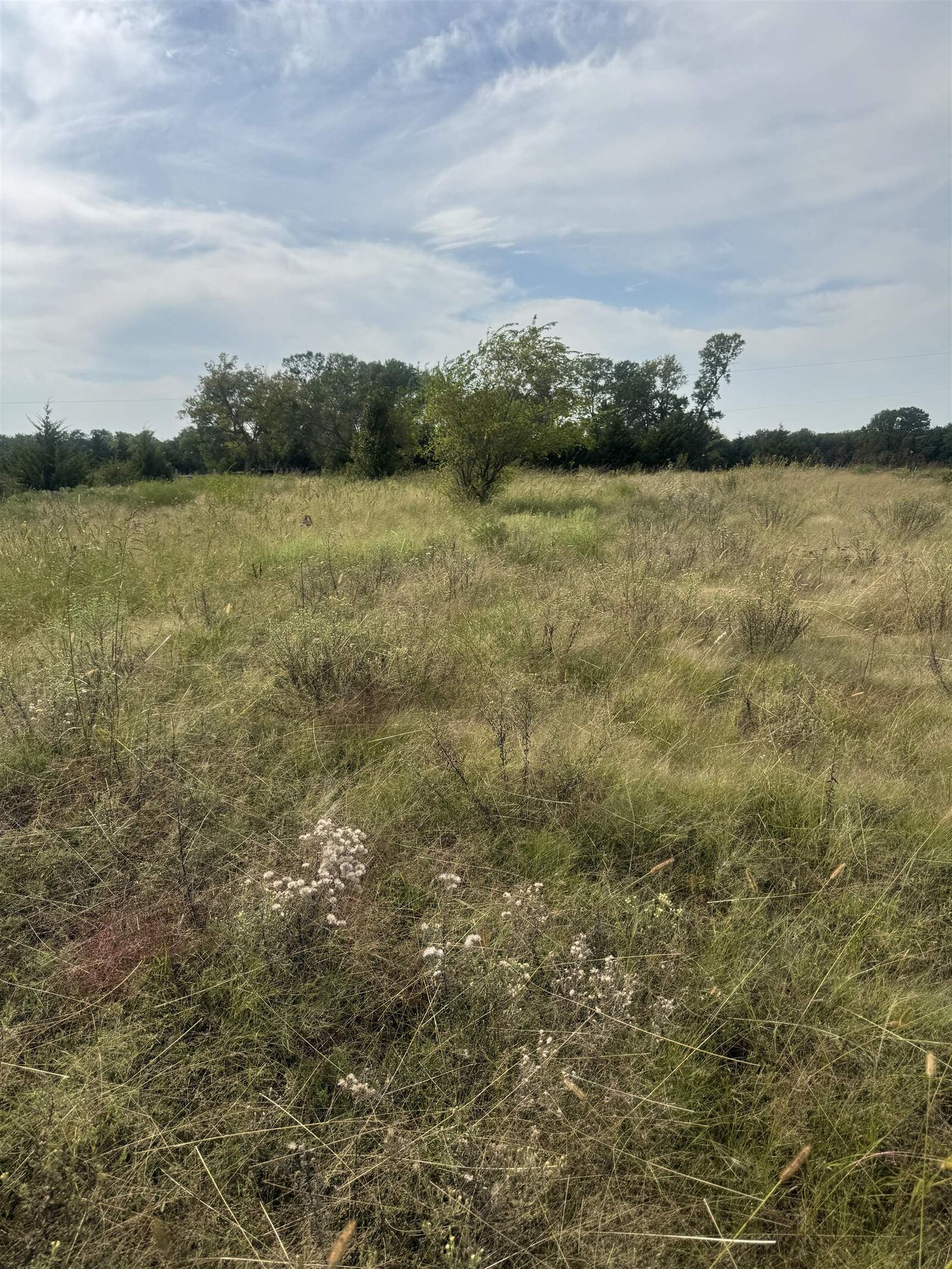 Property Photo: Lot 1 Block A KS 67037