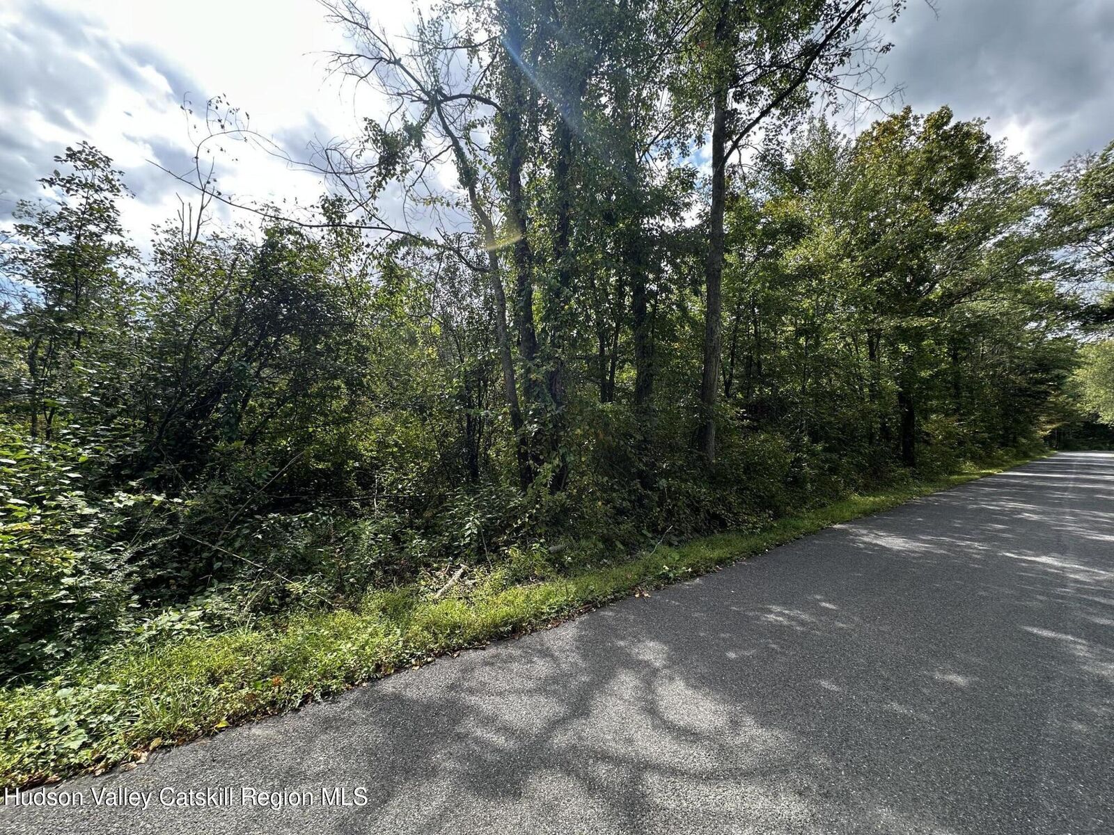 Property Photo:  0 Kelly  NY 12477 