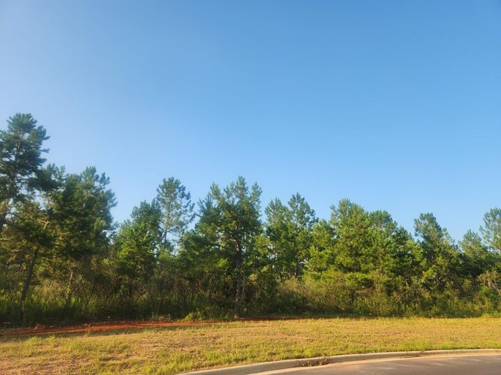 Property Photo:  Lt 132 Partridge Circle  GA 31763 