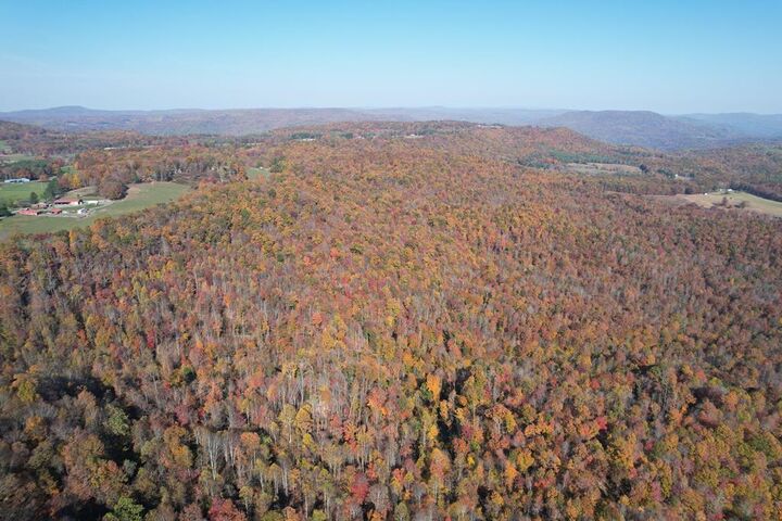 Property Photo:  290 Eagle'S Nest Ridge  WV 25918 