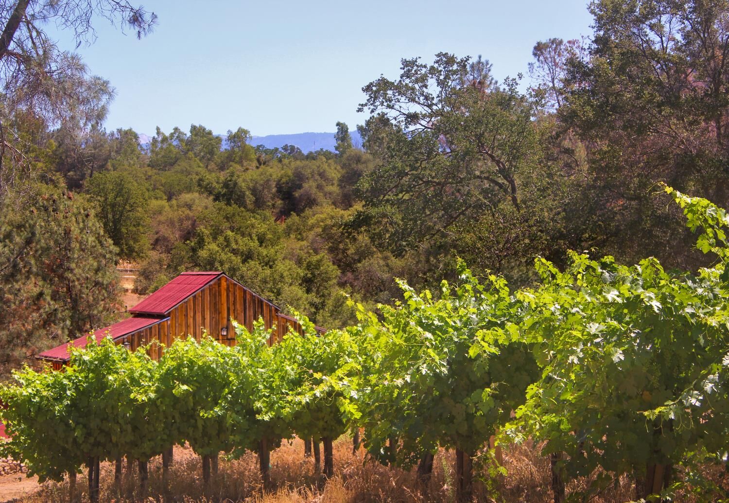 Property Photo:  49610 House Ranch Road  CA 93645 