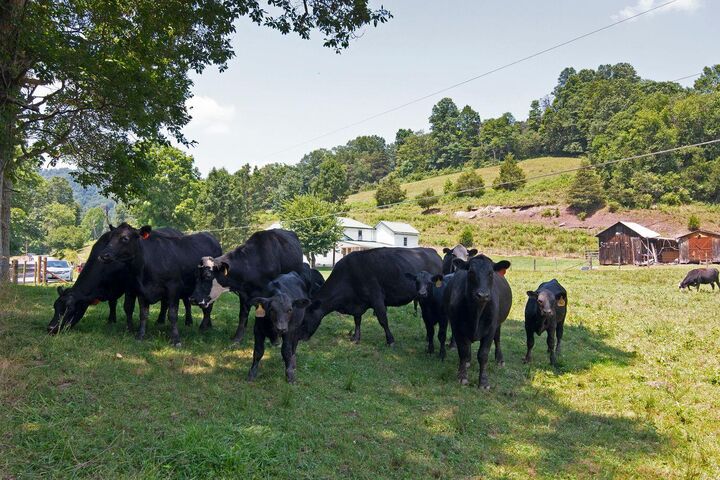 Property Photo:  2642 Madam Creek  WV 25951 