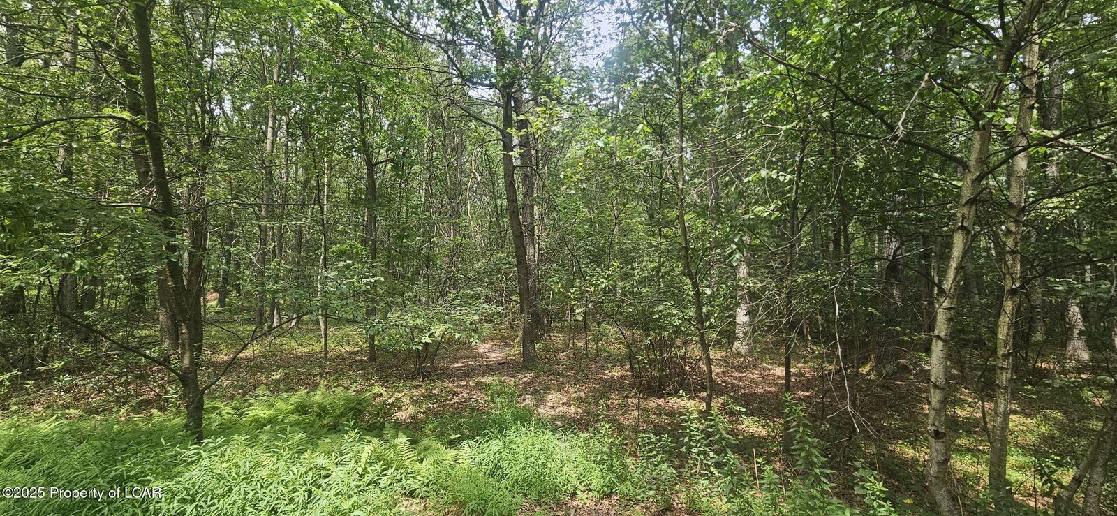 Property Photo: Lot 016 Hemlock Drive PA 18248