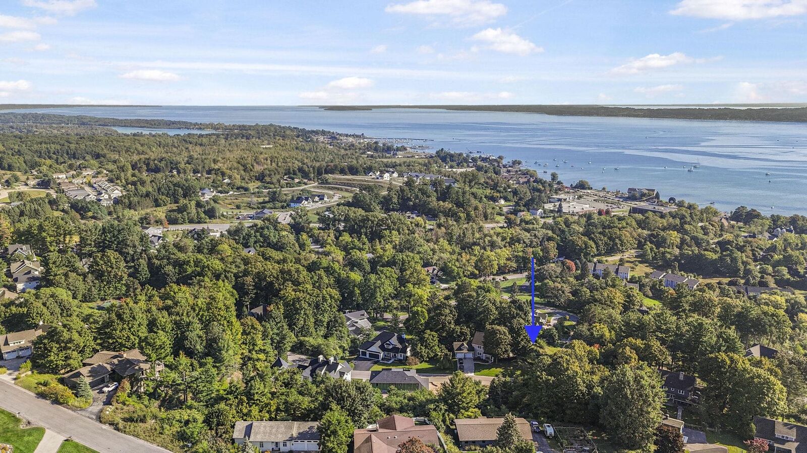 Property Photo:  0 Incochee Woods Drive  MI 49684 