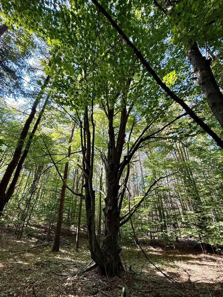 Property Photo:  18 W Woodrow Road  MI 49455