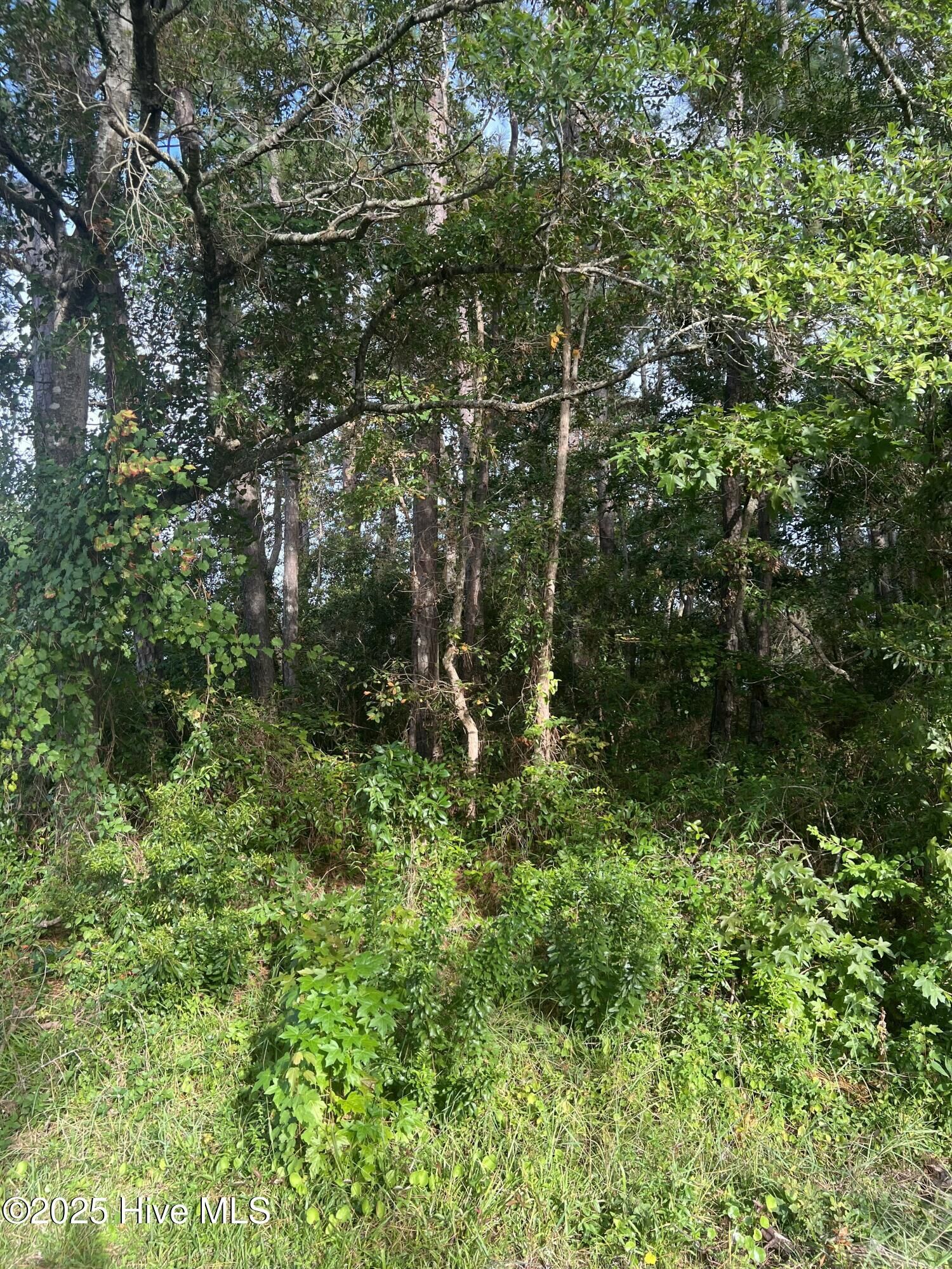 Property Photo:  27 NE 52nd Street  NC 28465 