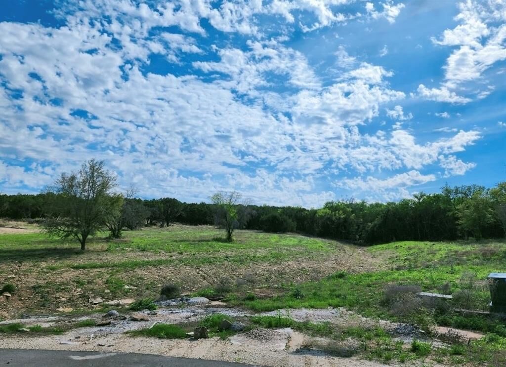 Property Photo: 2047 Lacee Court TX 76048