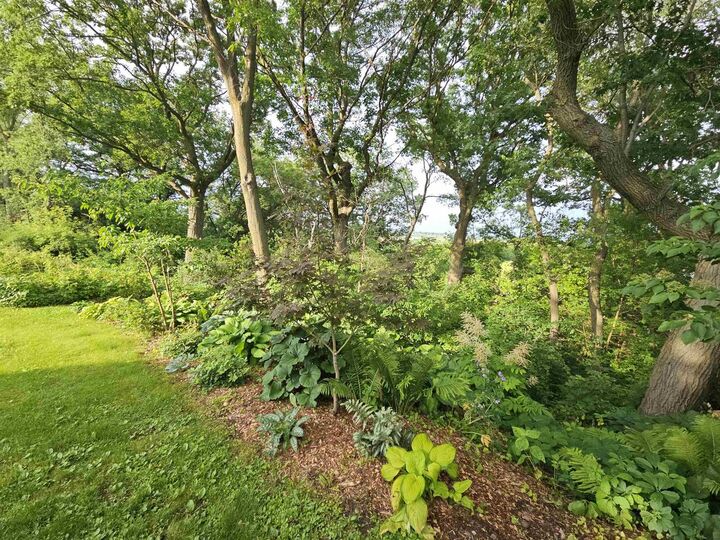 Property Photo:  Vacant Lot Sandy Oak Drive  WI 54665