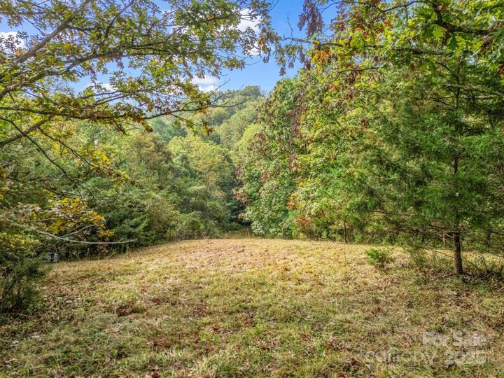 19 Woodchuck Cove Way  Alexander NC 28701 photo