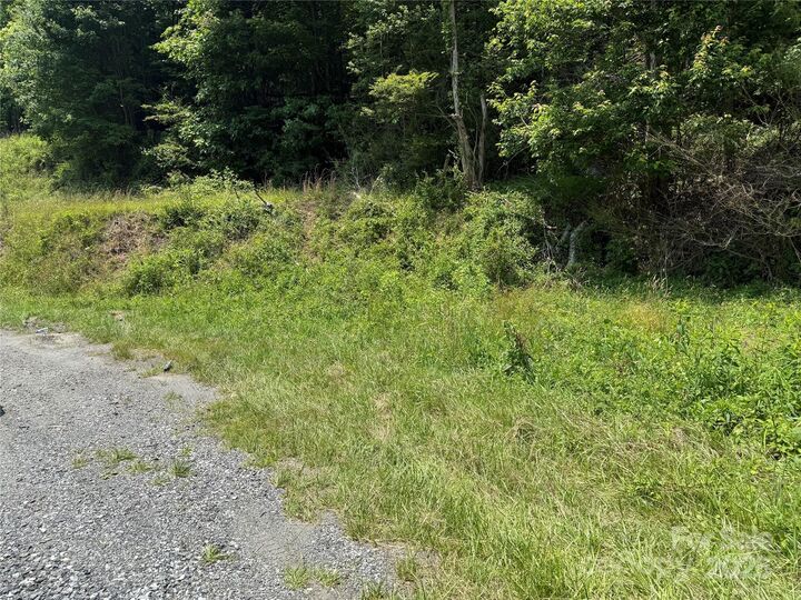 Property Photo:  Tbd Guntertown Road  NC 28753 