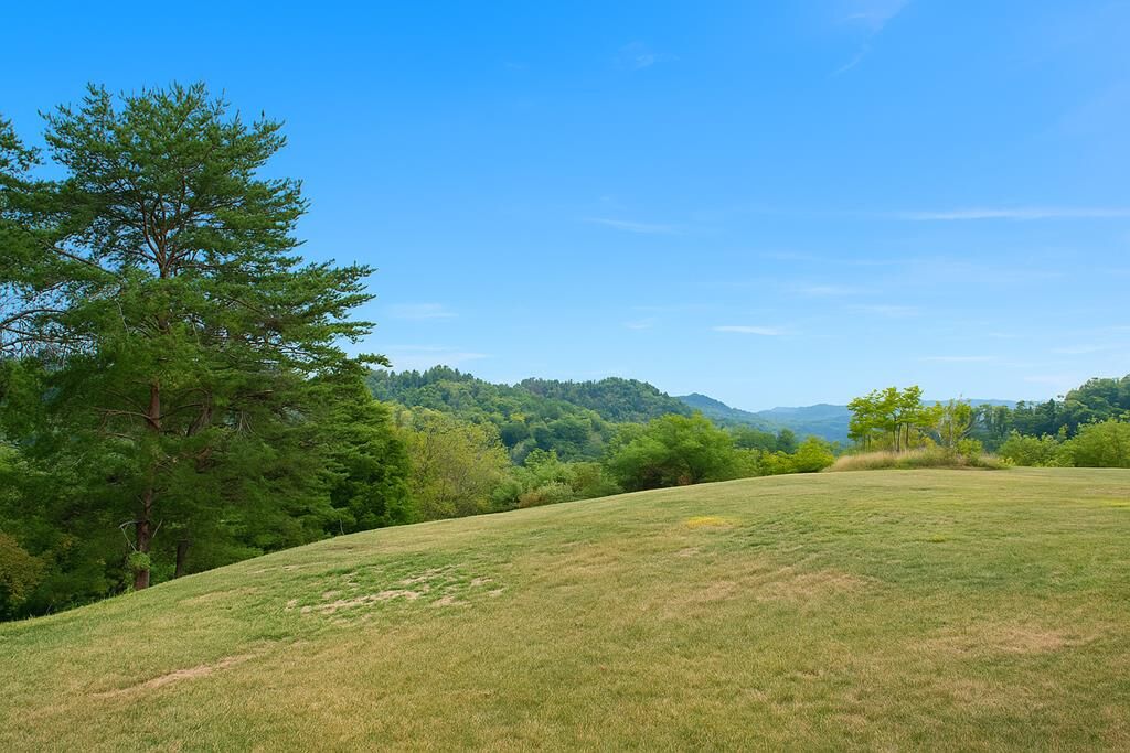 Property Photo:  Lot 41 Mountainview Court  KY 41501 