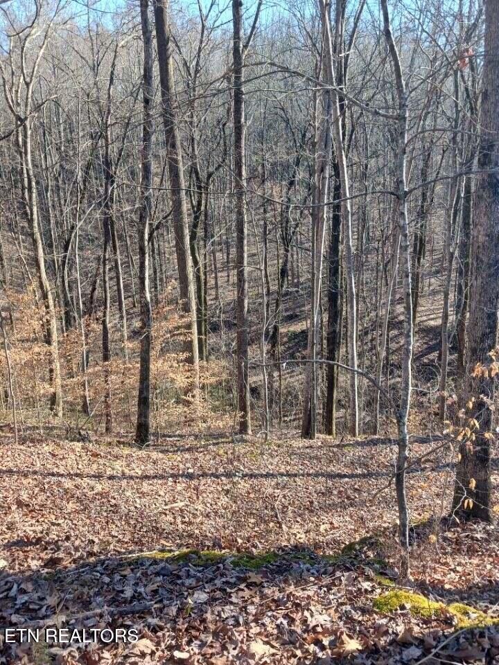 Property Photo:  311 Roberts Mill Rd  TN 37343 